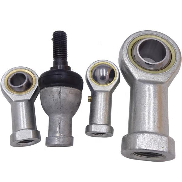 SQZ10 M10X1.25 Joint Rod End Bearing SQZ10 M10X1.25