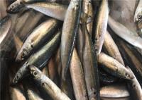 Cavala congelada fresca de Muroaji 60g 65g do Decapterus para a isca