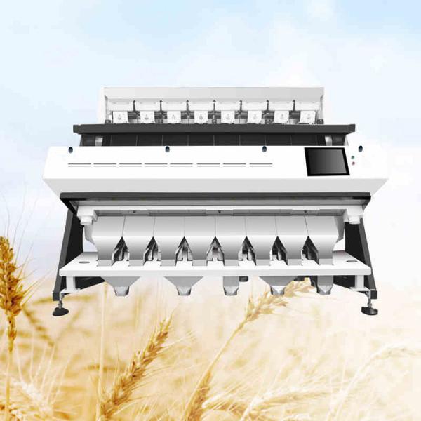 Mobile Remote Control Grain Color Sorter With User Friendly Interface