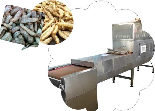 Frequency Stainless Steel Black Soldier Fly Larvae Microwave Sterilization  Machine Chinese Origin