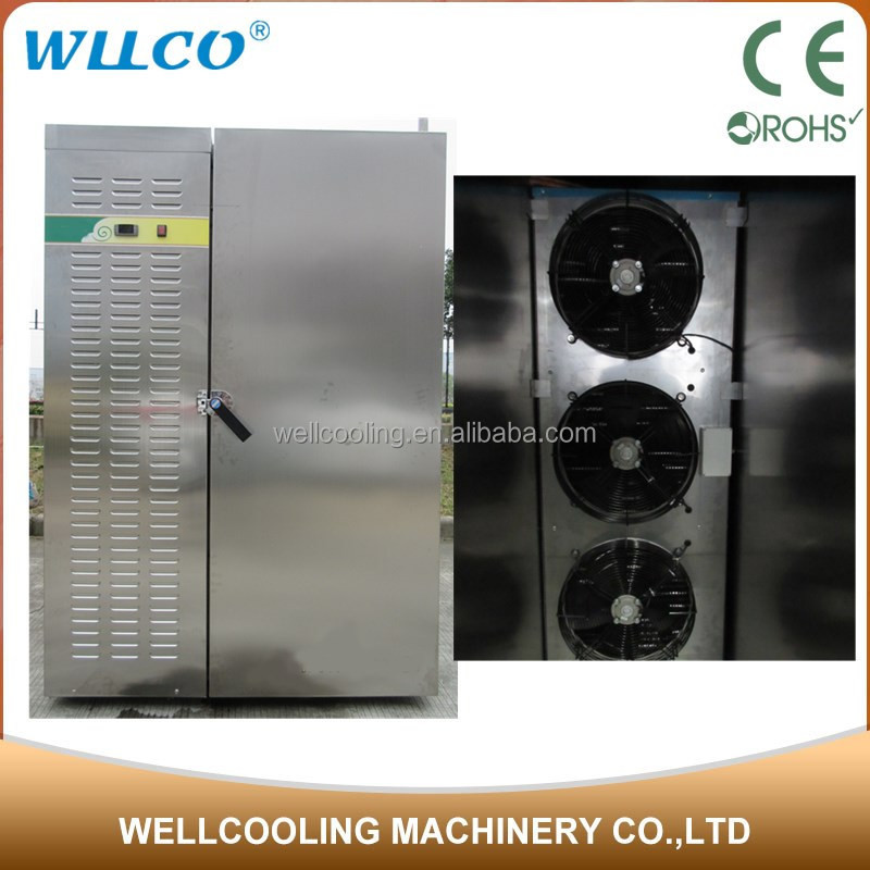Low Cost Refrigeration Frozen Cold Storage for Kitchen Use