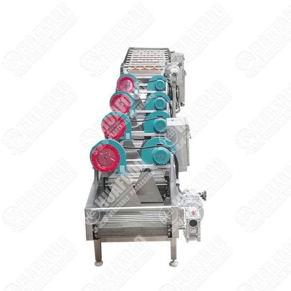 Farm Dragon Fruits Washing Drying Machine Dragon Fruits Washing Machine Dragon Fruits Washing Drying Line
