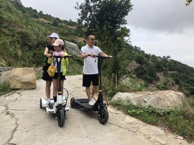 Mobility 13'' Rear Wheel Dc Motor E Bike Scooter