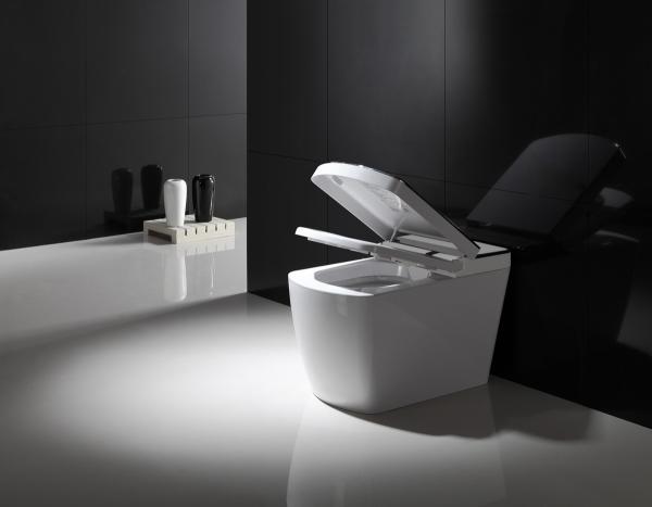 Electric Bathroom One Piece Toilet , Smart Bidet Toilet Female Washing