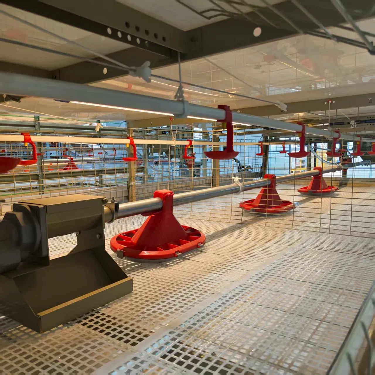 Hot Dipped Galvanized Chicken Broiler Cage Automatic Cage System For Broiler Chicken