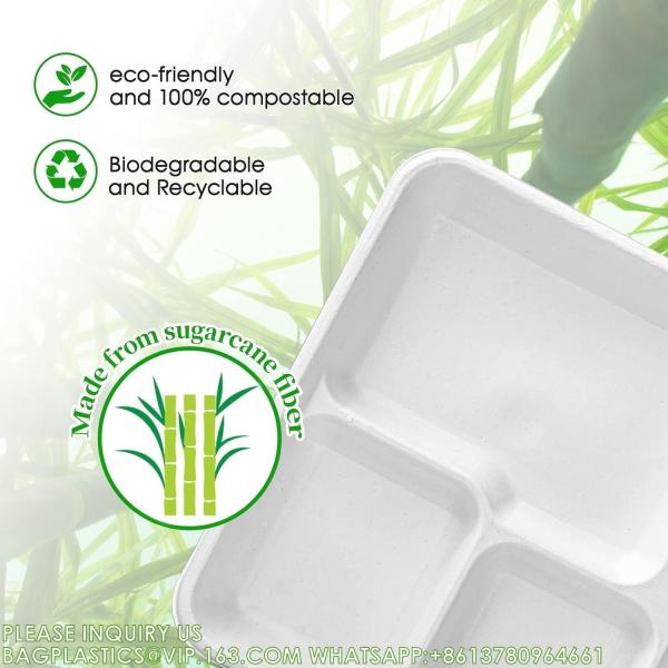 5 Compartment Plates, 125 Pack Disposable Paper Plates, Biodegradable Sugarcane Plates, Eco-Friendly School