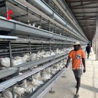 Equipamento automático de gaiolas de frango galvanizado a quente para fazendas de frango