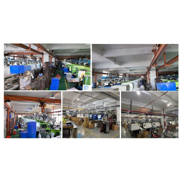 Customizable MagSafe Phone Case with Replaceable Back Panel
