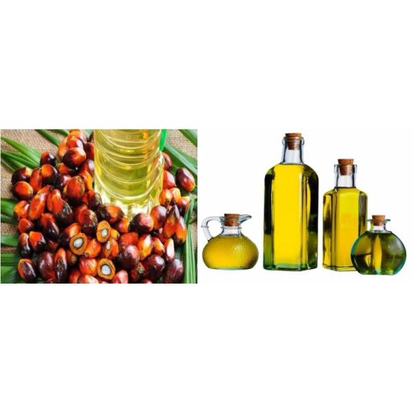 10-100TPD Palm Oil Refinery Cooking Oil Refinery Equipment List Edible Palm Oil Refinery Project Cost Depend on Capacity