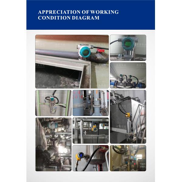 NYDE-CR The Ultimate Solution for Accurate Density Measurement in Industrial Settings