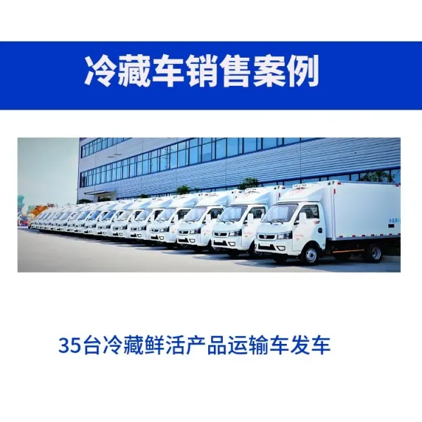 Isuzu Pickup Refrigerated Truck for Fresh Cargo Transport
