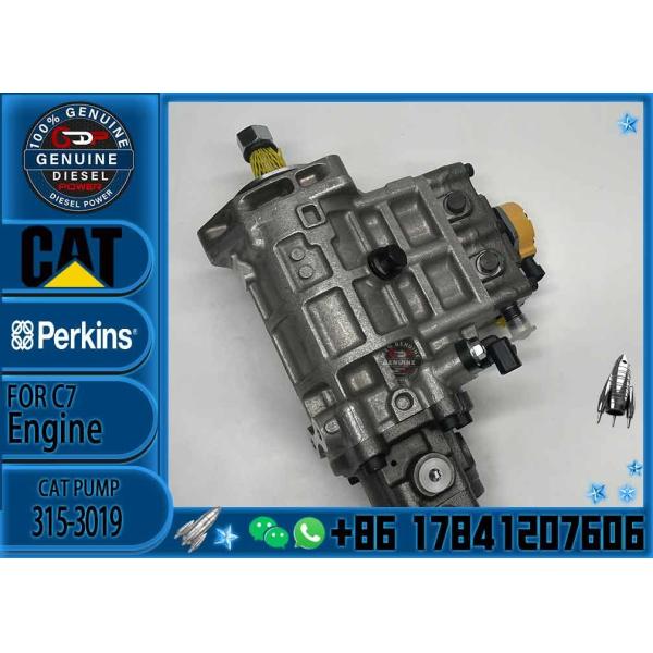 Diesel Engine Diesel Fuel Injection Pump 315-3019 For Caterpillar 320D Excavator 3153019 C6.6