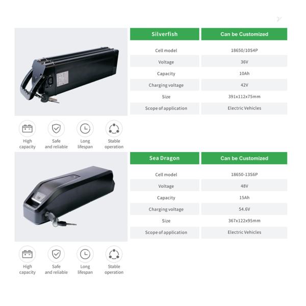 Batería de litio de dos ruedas eléctrica Sea Dragon de 48V 15Ah