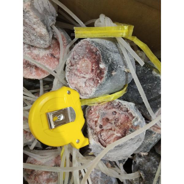 Аппетитный весь круг 250g вверх по замороженному кабелю -60℃ тунца желтопра для законсервированный