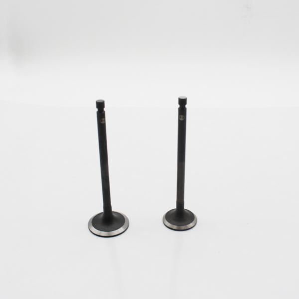Machinery Diesel Engine Valve 4TNV106 129104-11101 Inlet Exhaust Valves For Excavator Spare Parts