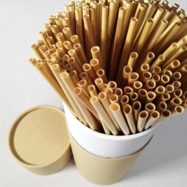 Say Goodbye to Plastic Straws and Hello to Wheat Drinking Straws Eco Friendly Option