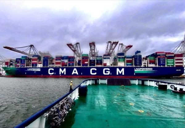 Israël/Jordanie/Liban/Irak/Koweït/Turquie/Égypte Agent de transport maritime de marchandises ONE/HMM/YML Transporteur 40 à 50 jours Temps de transit