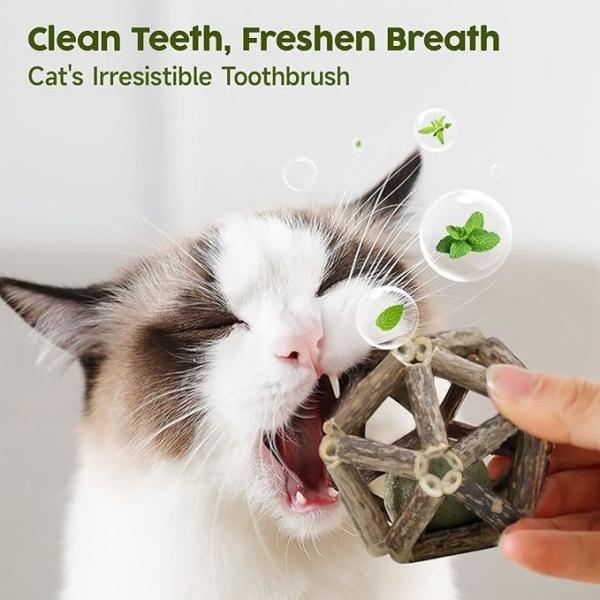 Silvervine Cat Toy for Self Play and Teeth Cleaning Made from Natural Polygonum Arboreum