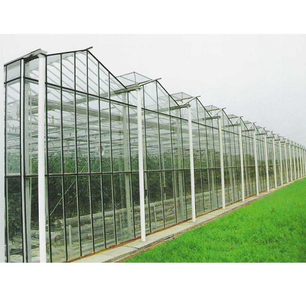 Customizable Multi Span Greenhouse With Side Vent And Roof Height 3.73M