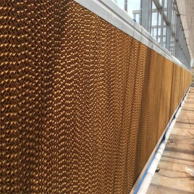 Sistema de refrigeração evaporativo do fã e da almofada para o equipamento agrícola da estufa