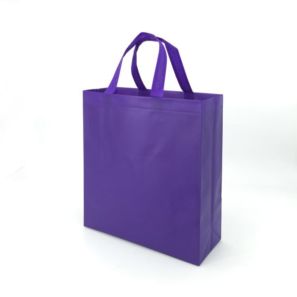 UniversalNon Woven  Promotion Bag H34*W30*G12cm With 80gram weight