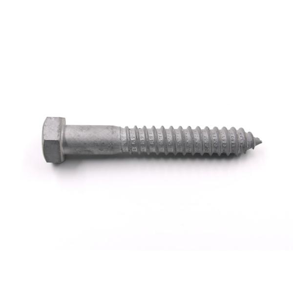 Hot Dip Galvanized DIN571 Hex Wood Screws , Multi Purpose Wood Screws Fasteners