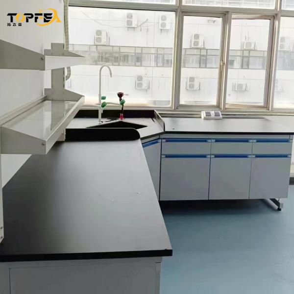 PP Material Wall-Mounted Laboratory Bench for Modern Research Facilities