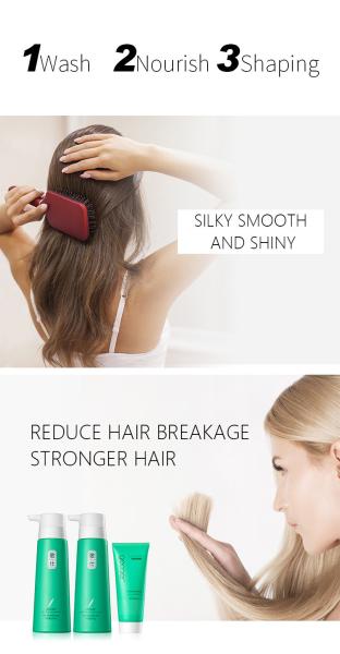 6 In 1 Vegan Natural Organic Tea Extract Hair Fluffy Shampoo Conditioner