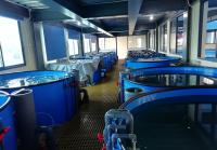 Système d'aquaculture de recirculation commerciale Stérilisation UV Poissons exempts d'antibiotiques