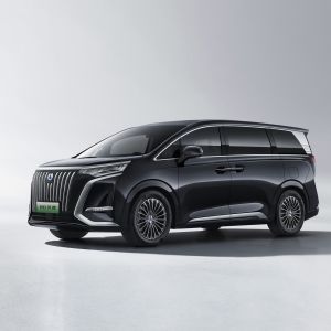 Denza D9 BYD EV Автомобили Электрические хэтчбекные автомобили 7-местный МПВ
