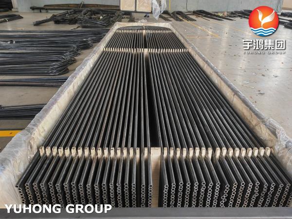 A179/SA179 Carbon Steel U Bend Tube for Tubular Heat Exchanger