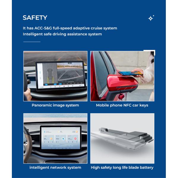 BYD Qin Dmi Low Oil Consumption Hybrid BYD EV Car 500KM