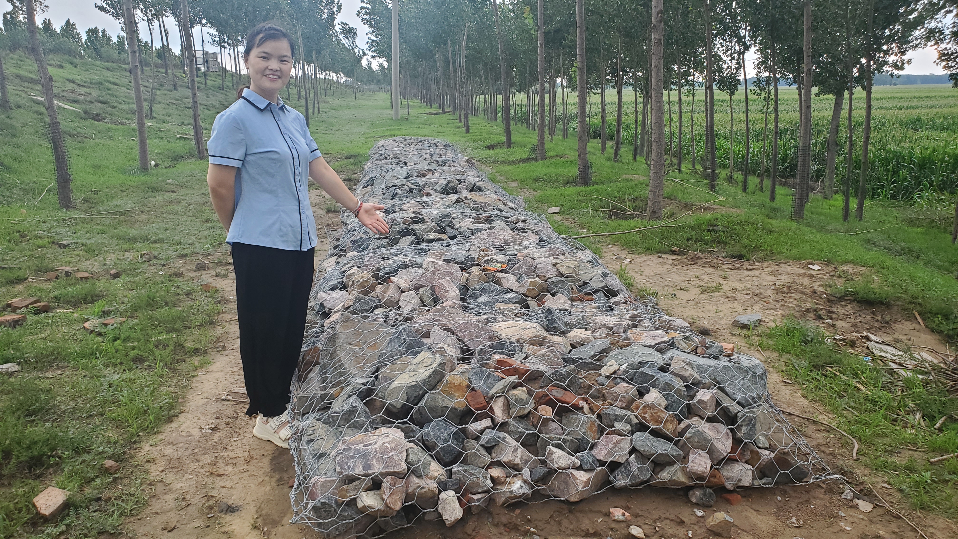 Galvanized & PVC Coated Gabion Wall Stone Cage for Landscape Garden Retaining Wall