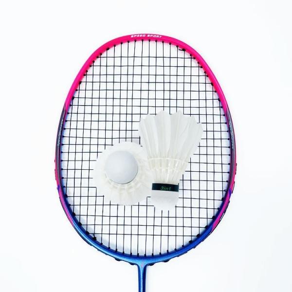 Dmantis D7 Model Wholesale Supply Training Equipment Badminton Racket for Professional Player Customiza