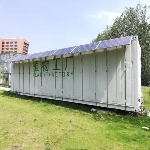 Máquina de germinação hidropónica comercial de forragem verde tipo recipiente
