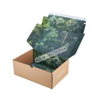 Boîte d'emballage de cadeaux écologique idéale pour les magasins de détail
