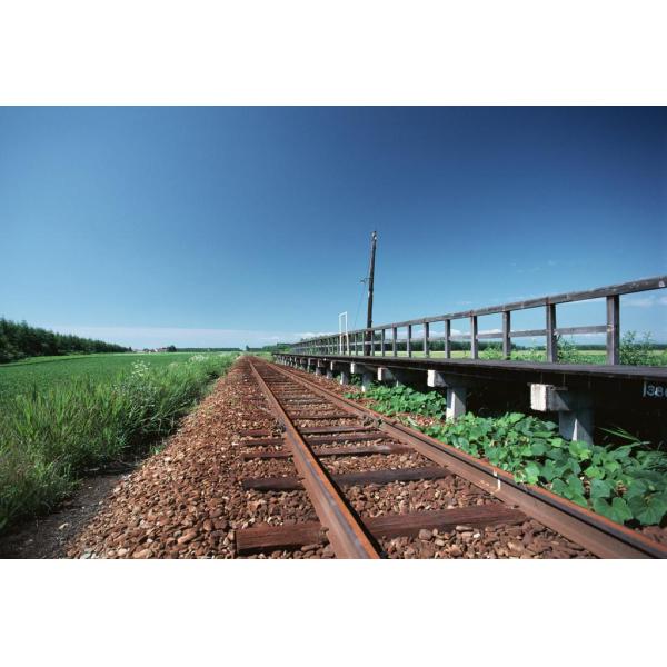 Профессиональные спайки равнины/окиси спайка винта ISO железнодорожные черные