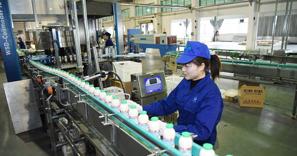 PE Bottle Milk Production Machine Processing Equipment Full Automatic Mode