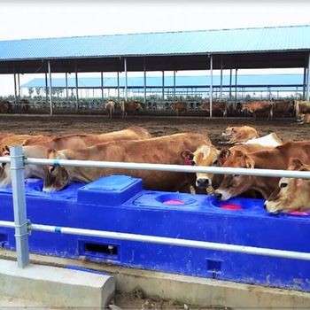 400mm PE Earth Tube Veterinary Medical Equipment