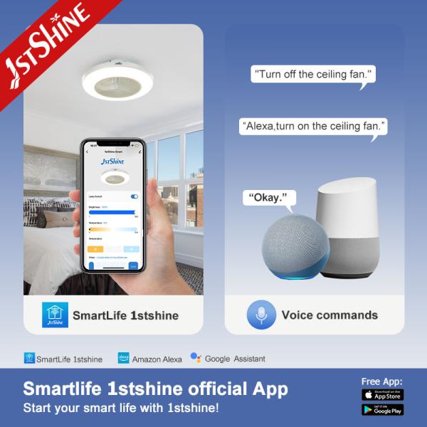 Smart App Control 20 Inch Flush Mount LED Ceiling Fan For Bedroom