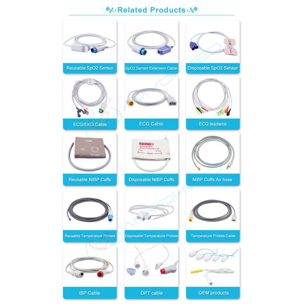 5 Lead 10 Lead Ecg Cables And Leadwires With ISO 13485 Certificated