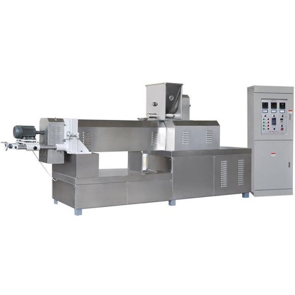 Machine à extruder des spaghettis ligne de production de pâtes macaronis pour les aliments d'usine
