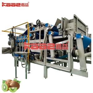 Blueberry Strawberry Concentrated Juice Processing Line Apple Juice Concentrate