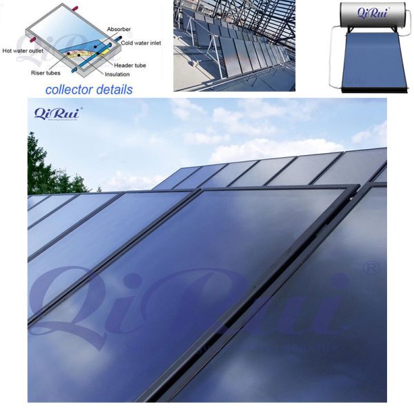 Factory Wholesale 2/2.5/3 Square Meter Panneau Solaire Thermosiphon Chauffe Eau Solaire