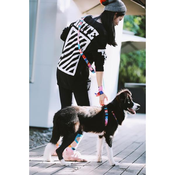 Outdoor Hiking Retractable Anti Pull Dog Leash Lead 1 Inch Halti Handmade