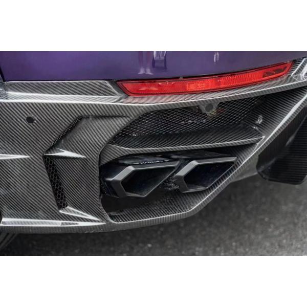 Audi Q8 Комплекты корпуса из углеродного волокна для Porsche Taycan Mansory