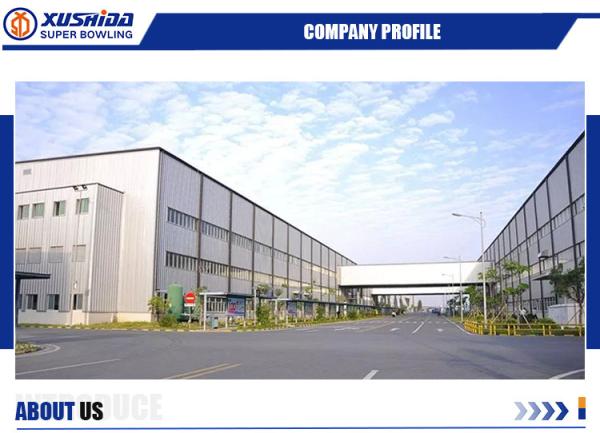 Bodybuilding Fitness Manufacturers Bowling Foul Unit for Amf and Brunswick Machinery