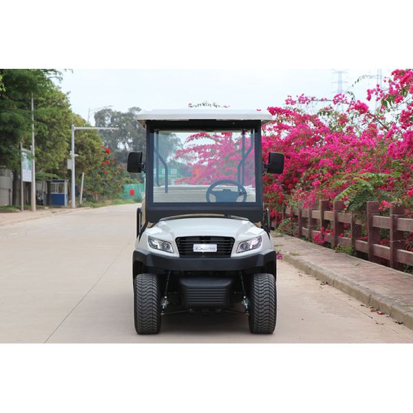 8 Front Seats & 3 Rear Electric Golf Buggy 48V Lithium Battery AC Motor Steel Chassis 25km/h Speed
