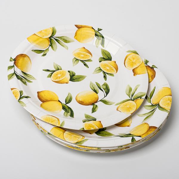 Eco Friendly Biodegradable Paper Plates Compostable Lemon Birthday Party Supplies