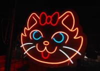 Vasten Cat Custom Led Neon Signs 200cm para o parque de diversões